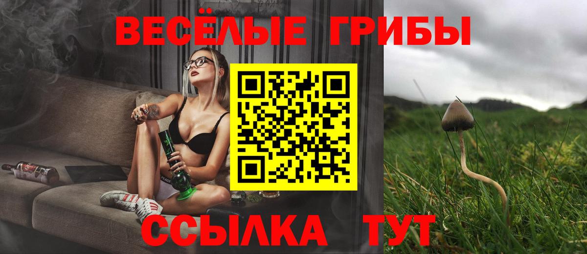 Псилоцибиновые грибы GOLDEN TEACHER Заречный